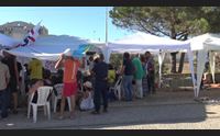 eolico il presidio dei comitati al porto di oristano venite tutti