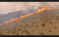 incendi altra giornata difficile a pozzomaggiore canadair e superpuma