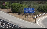 orani investe un gregge e muore lungo al 131dcn indagini in corso