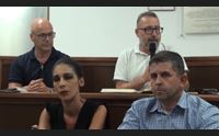 luras fronte del no gli impianti eolici minacciano gli olivastri