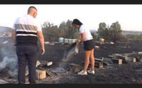 disastro incendi a ottana strage di api vi auguro lo stesso dolore