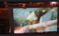 arbatax rassegna cal a cinema l arte del racconto femminile