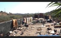 il caso del canile discarica il sindaco di quartu firma un ordinanza