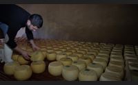 l unione sarda e ilisso domani nelle edicole arriva il formaggio