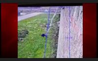 nuoro l evasione da badu e carros del boss raduano 9 agenti sospesi