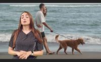 videolina l isola dei cuccioli