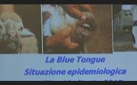 lingua blu coldiretti allarme inascoltato intervenga la todde