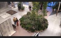 olbia progetto rug forest arte tradizione e natura si fondono