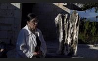 prendas torradas ai musei di cagliari le opere di anna saba