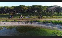 sardegna endurance ad arborea attesi atleti e cavalli da 29 nazioni