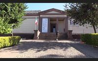 sassari il museo sanna torna alle origini riaperta la sezione preistorica