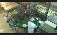 arborea 3a col segno pi crescono produzione fatturato e remunerazione