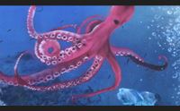 quartu un murale per il mare a margine rosso l opera di manu invisible