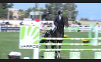 equitazione cagliari vetrina del salto ostacoli internazionale