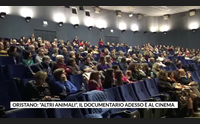 oristano altri animali il documentario adesso al cinema