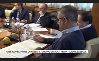 aree idonee prove di intesa il gruppo di saggi per integrare la legge