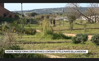 sassari prende forma l orto botanico conterr tutte le piante della sardegna