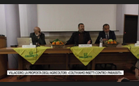villacidro la proposta degli agricoltori coltiviamo insetti contro i parassiti