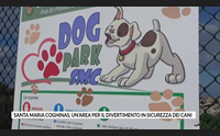 santa maria coghinas un area per il divertimento in sicurezza dei cani
