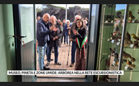 museo pineta e zone umide arborea nella rete escursionistica