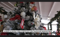 l albero di natale vero o sintetico una tradizione irrinunciabile