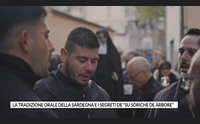 la tradizione orale della sardegna e i segreti de su s riche de rbore