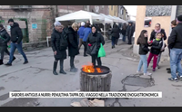 saboris antigus a nurri penultima tappa del viaggio nella tradizione enogastronomica