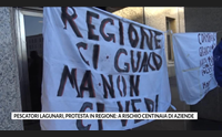 pescatori lagunari protesta in regione a rischio centinaia di aziende