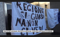 pescatori lagunari protesta in regione a rischio centinaia di aziende