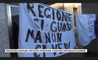 pescatori lagunari protesta in regione a rischio centinaia di aziende