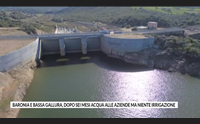 baronia e bassa gallura dopo sei mesi acqua alle aziende ma niente irrigazione