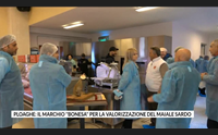 ploaghe il marchio bonesa per la valorizzazione del maiale sardo