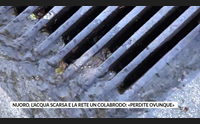 nuoro l acqua scarsa e la rete un colabrodo perdite ovunque