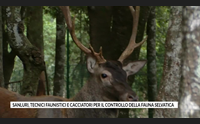 sanluri tecnici faunistici e cacciatori per il controllo della fauna selvatica