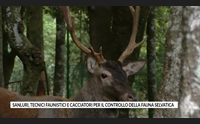 sanluri tecnici faunistici e cacciatori per il controllo della fauna selvatica