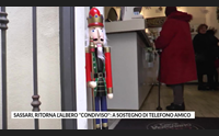 sassari ritorna l albero condiviso a sostegno di telefono amico
