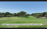 narbolia un piano unico tra comuni enti e privati per la pineta di is arenas