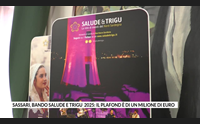 sassari bando salude e trigu 2025 il plafond di un milione di euro