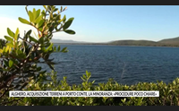 alghero acquisizione terreni a porto conte la minoranza procedure poco chiare