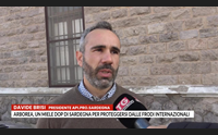 arborea un miele dop di sardegna per proteggersi dalle frodi internazionali