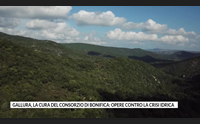 gallura la cura del consorzio di bonifica opere contro la crisi idrica