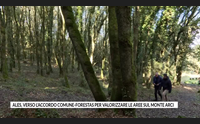 ales verso l accordo comune forestas per valorizzare le aree sul monte arci