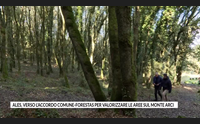 ales verso l accordo comune forestas per valorizzare le aree sul monte arci