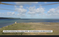 giornata mondiale delle zone umide via in sardegna a un mese di eventi