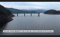 gallura piogge benedette nella diga del liscia 20 milioni in pi di acqua