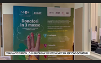 trapianto di midollo in sardegna 320 vite salvate ma servono donatori