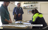 ad ussana la microchippatura gratuita dei cani contro il randagismo