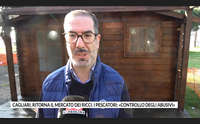 cagliari ritorna il mercato dei ricci i pescatori controllo degli abusivi