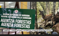 carbonia i tesori naturali di forestas la mostra entra nelle scuole