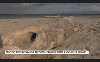 stintino tutelare un bene prezioso l erosione mette a rischio la pelosa